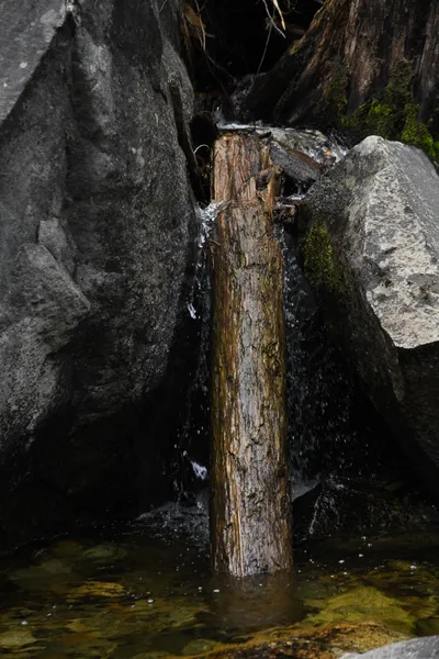 DSC_4607 (Large).JPG